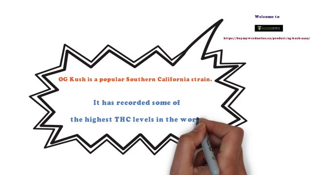 OG Kush indica or sativa