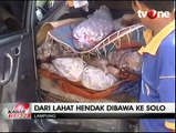 Penyelundupan 800 Kg Daging Celeng Digagalkan Polisi