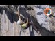 This Is What Happens When You Put Alex Megos On A Big Wall Climb | EpicTV Climbing Daily, Ep. 428