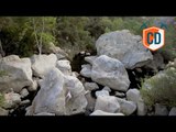 The Secret Bouldering Spot Hidden Deep In The Hollywood Hills | EpicTV Climbing Daily, Ep.475
