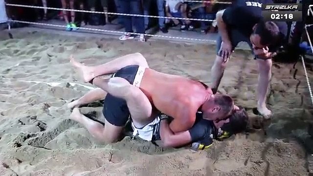 MMA -Ours sauvage contre combattant MMA