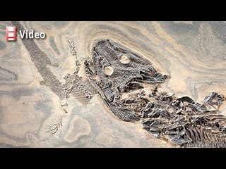 The week ahead: October 18th 2013