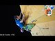 Hot And Humid At The IFSC World Cup Arco | Climbing Daily Ep.767