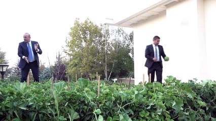 Çavuşoğlu, basın mensuplarına kavun ikram etti - ANKARA