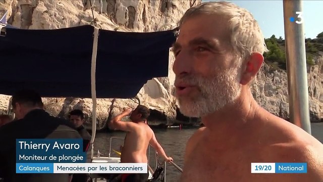 Marseille : les calanques menacées par les braconniers