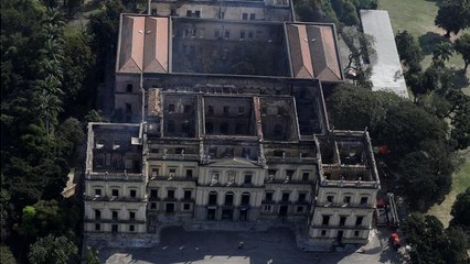 Um acervo fundado por D. João VI há 200 anos e agora em cinzas