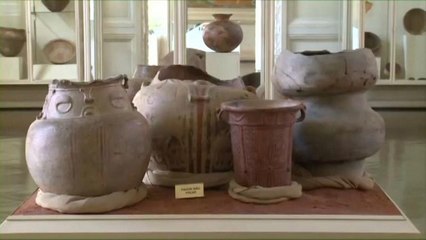 قائمة على المتحف البرازيلي المنكوب تحاول استرجاع تحف أتت عليها النيران