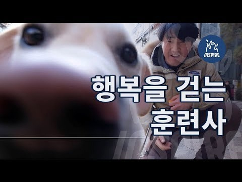 "다시 태어나도 이 직업을 선택할래요."ㅣ시각장애인 안내견 훈련사ㅣ동기부여 다큐멘터리 영상 보기 듣기