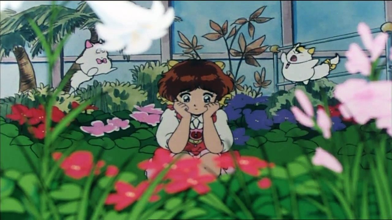 Suzy aux fleurs magique - E 20  La comtesse Gertrude et les fleurs (VF)