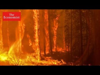 Are wildfires becoming more deadly? | The Economist