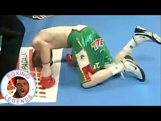 Brian Viloria vs Ulises Solis [2009-04-19]