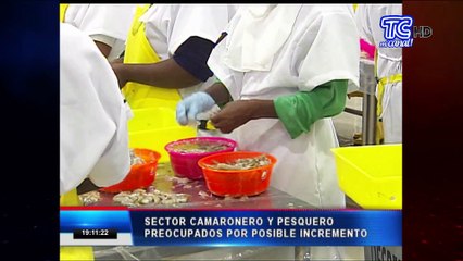 Sector camaronero y pesquero preocupados por posible incremento