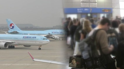"아기는 그냥 통과" 대한항공 황당 보안사고 / YTN