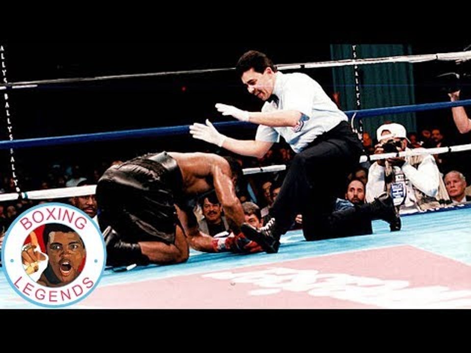 Felix Trinidad vs Larry Barnes (Highlights)