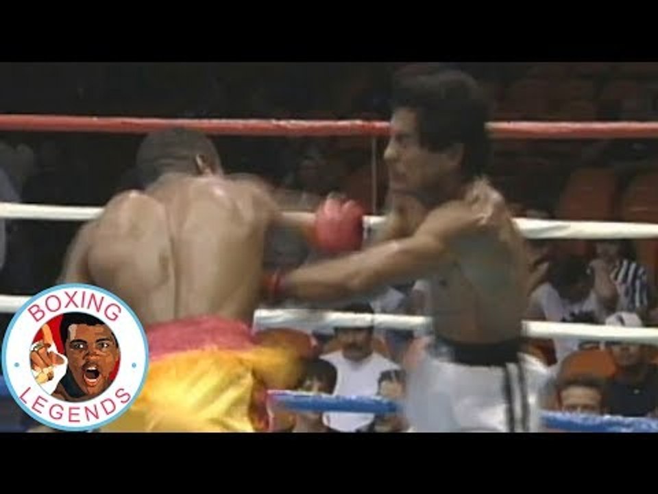 Shane Mosley vs Miguel Angel Pena (Highlights)