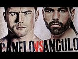 Saul Alvarez vs Alfredo Angulo (Highlights)