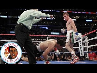 Saul Alvarez vs Carlos Manuel Baldomir (Highlights)