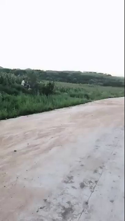 silky skills!!