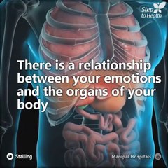 Have you ever wondered what the relationship between the organs of your body and your emotions is? We'll tell you...