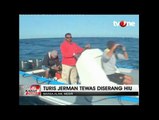 Turis Jerman Tewas Diserang Hiu di Laut Merah