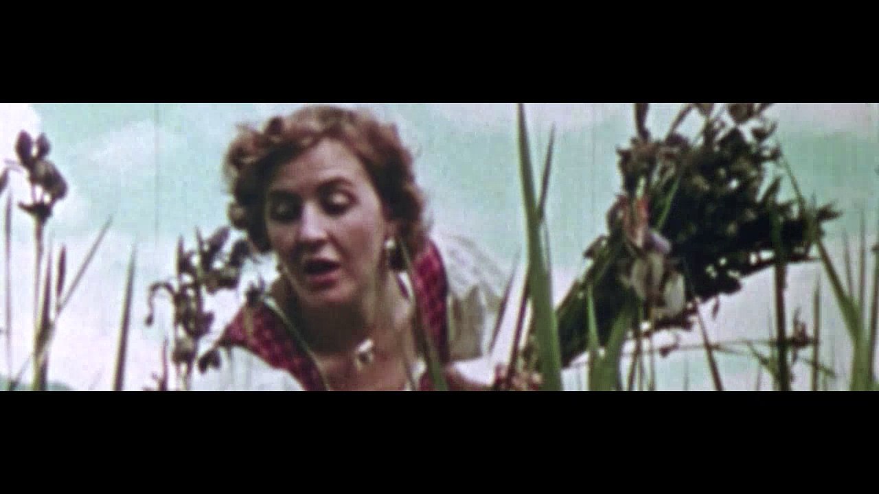 The World At War 1973 S01E21 - Nemesis Germany (2 & 5-1945)