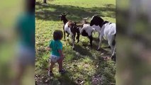 Ultimate Cute Pets vs. Epic Kids Fails Compilation | Funny Pet Videos May 2018