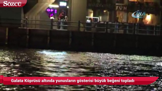 Galata Köprüsü altında yunusların gösterisi büyük beğeni topladı