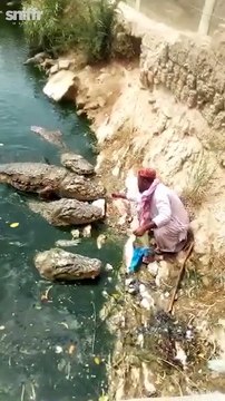 Il donne a manger à des énormes crocodiles sur les rives de cette rivière