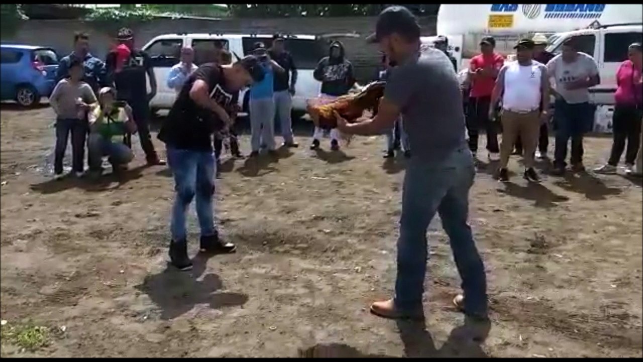 Ils voulaient faire un combat de coqs mais ça ne va pas se passer comme prévu