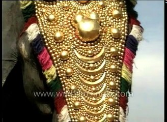 Snake boat race festival of elephants and Kovalam beach in Kerela