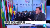 China-Africa Summit: What are Beijing''s aims in the African continent?