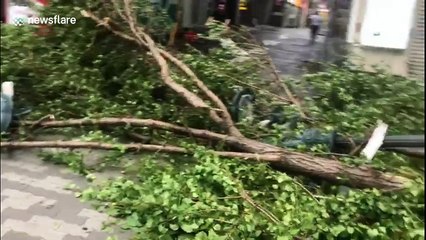 Signal drops to the floor & Osaka street light destroyed by fallen trees after Typhoon Jebi wreaks havoc