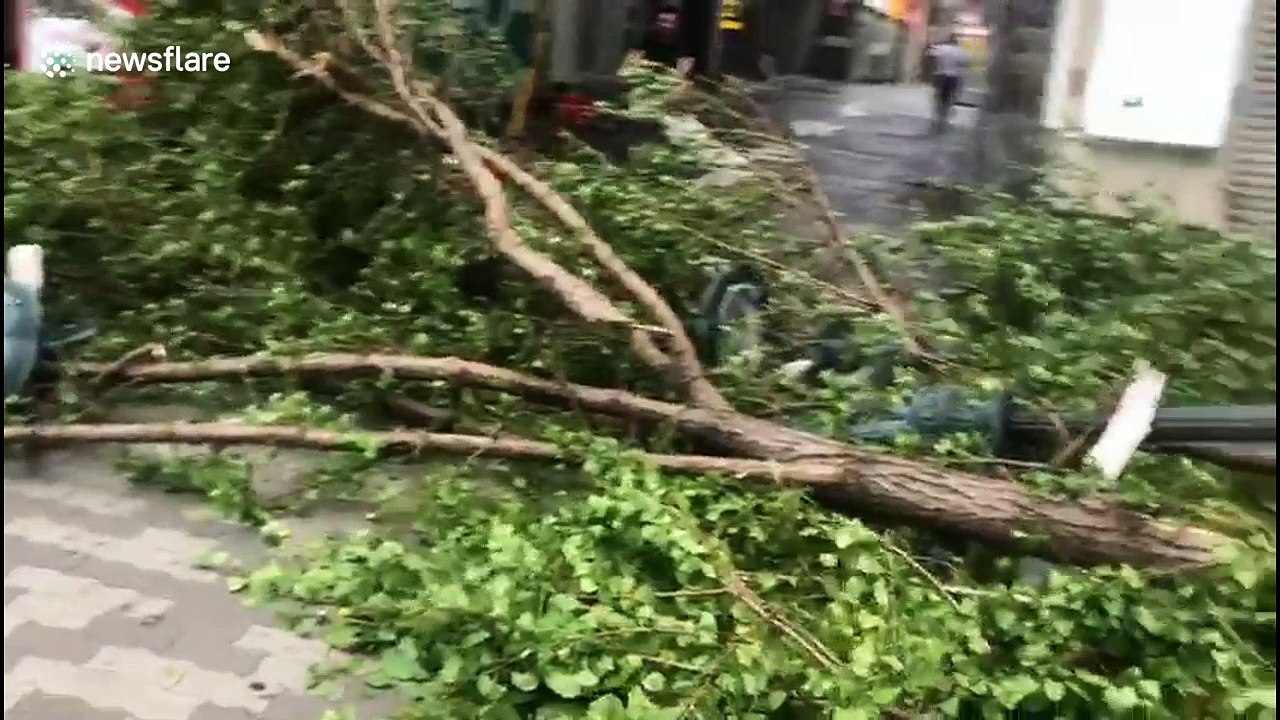 Signal drops to the floor & Osaka street light destroyed by fallen trees after Typhoon Jebi wreaks havoc
