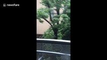 Evacuation alarm sounds in Osaka as Typhoon Jebi batters Japan