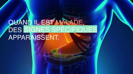 Foie malade :  3 symptômes d'alerte