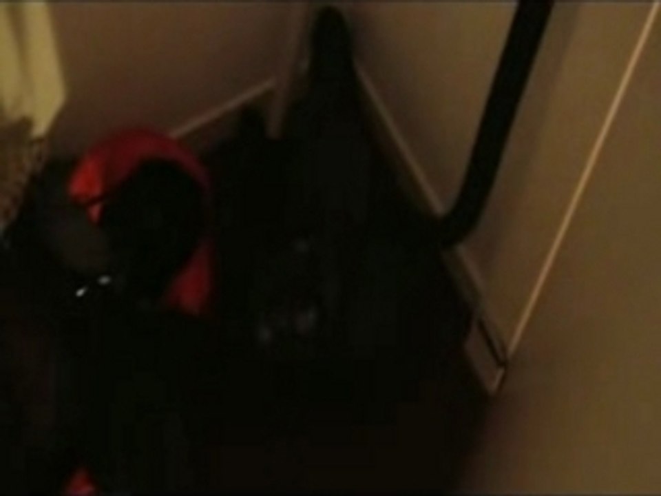 Lil' Events - La plagne 2008 - Présentation