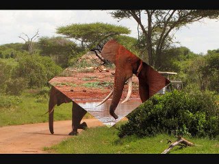 African Memorable Safaris