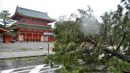 Regresso do tufão "Jebi" coloca Japão em alerta