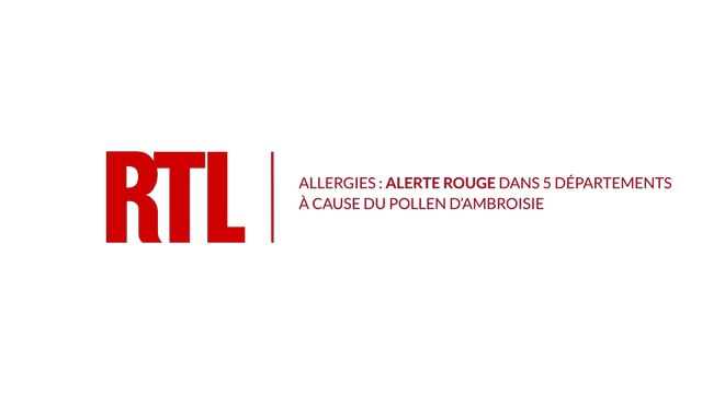 Allergies à l'ambroisie : 5 départements en alerte rouge