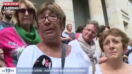 Chalon-sur-Saône : Une femme jugée pour avoir brûlé le chien de son compagnon (vidéo)