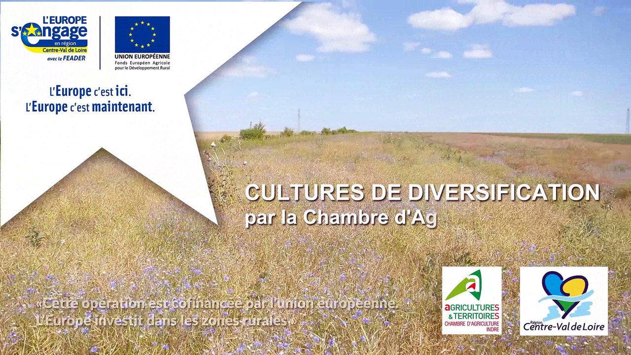 Vidéo cultures de diversification en Indre CA 36