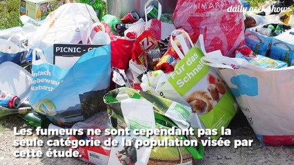 Une honte : un automobiliste français sur 3 continue de jeter ses déchets par la fenêtre
