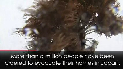 One million ordered to evacuate as Japan typhoon nears