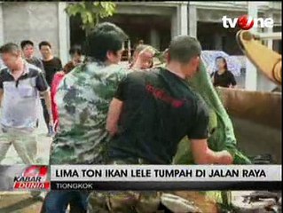 Lima Ton Ikan Lele Macetkan Jalanan Guizhou