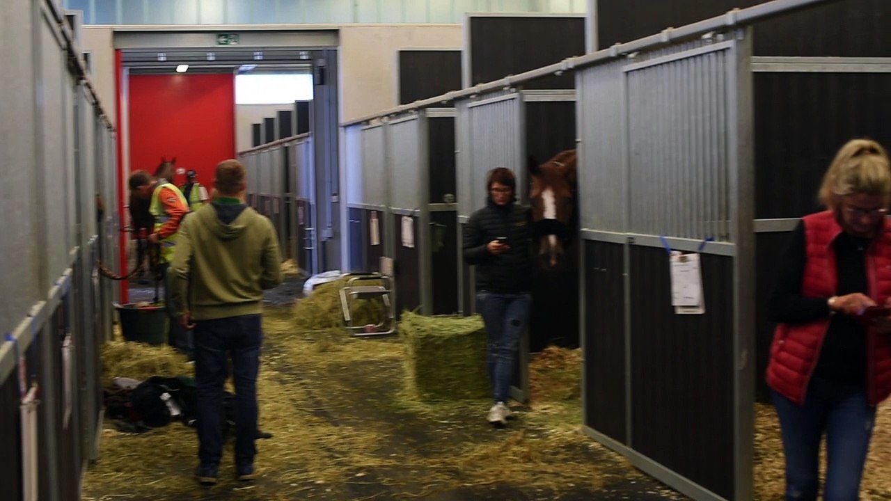 Liège : Horse Inn envoie des chevaux aux jeux équestres mondiaux