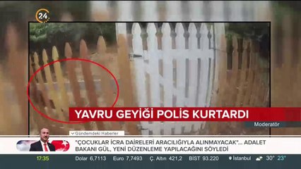 Yavru geyiği polis kurtardı