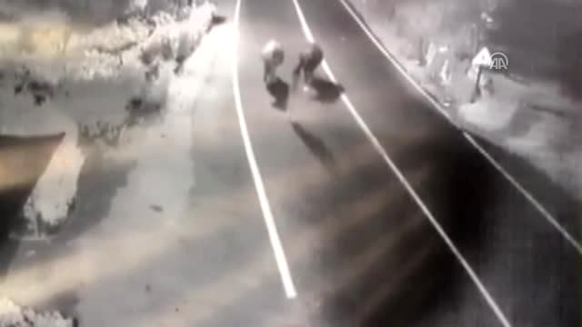 Bodrum'da Büyükbaş Hayvan Hırsızlığı Kamerada