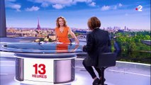 Remaniement : retour sur les nominations de François de Rugy et de Roxana Maracineanu