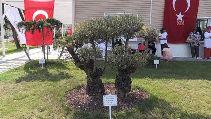 'Nilüfer Sanat Parkı' açıldı - BOLU