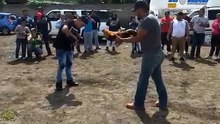 Luta ilegal de galos leva rumo inesperado e termina da melhor maneira